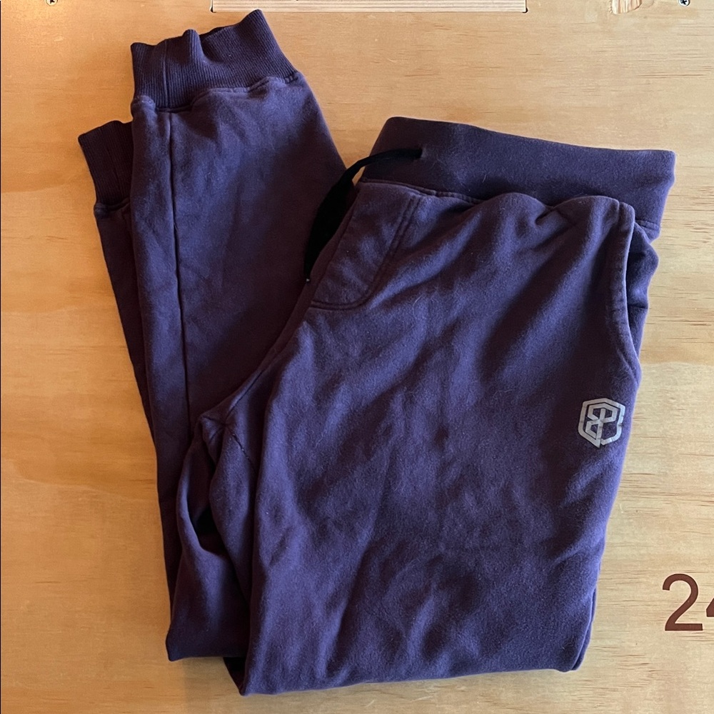 Born Primitive Purple Joggers